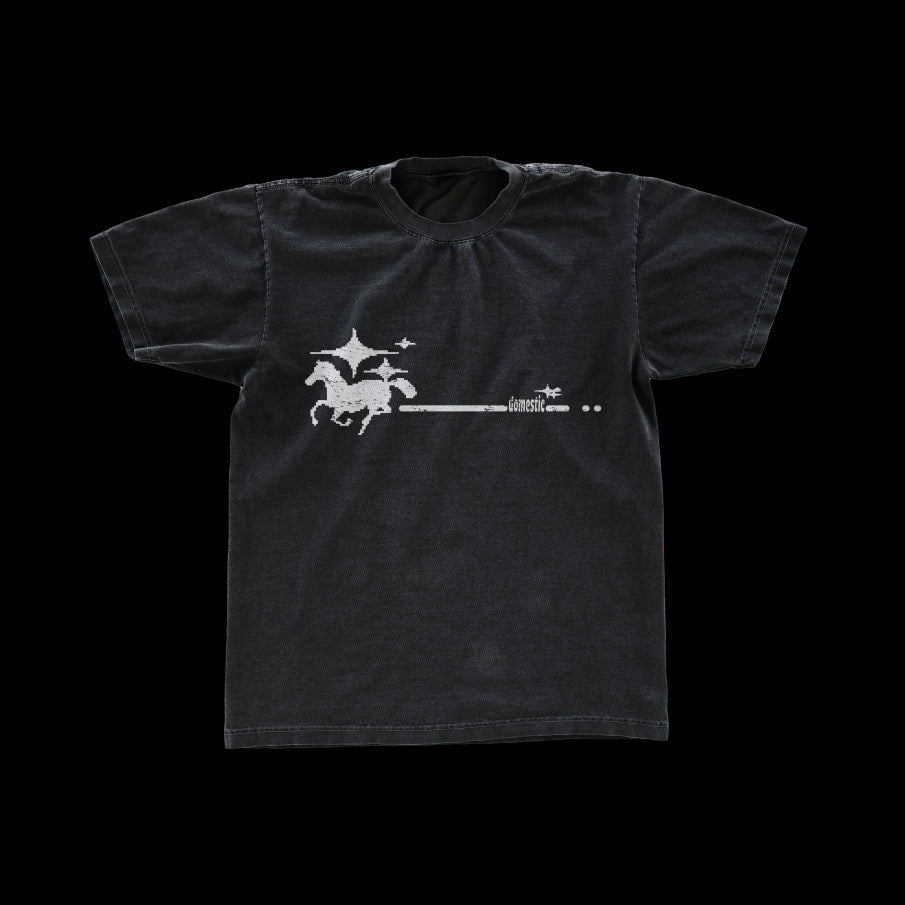 White Pony